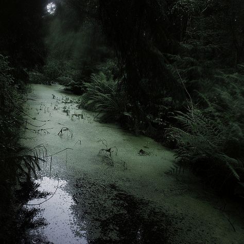 Swamp path leading to Kensia’s compound Paradis Sombre, Dark Naturalism, Dark Fairycore, Dark Green Aesthetic, Slytherin Aesthetic, Dark Cottagecore, Dark Paradise, Dark Fairy, Foto Art