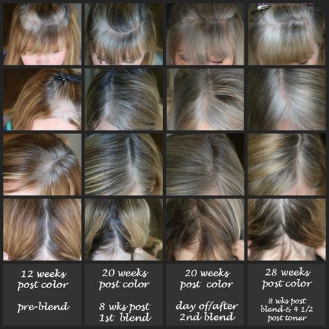 My Transition to Gray Hair - dimplesonmywhat Going Grey Transition, Brown Hair Pictures, Gray Roots, Grey Hair With Bangs, Grey Hair Over 50, Grey Hair Transformation, Make Hair Grow, Lighter Hair, Grey Hair Inspiration