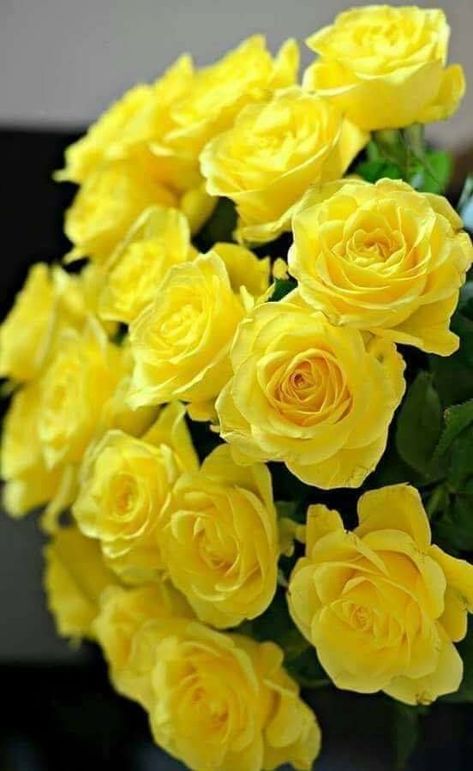 Yellow Roses Bouquet, Color Roses, Roses Only, Rose Belle, Rose Flower Pictures, Rose Flower Wallpaper, Mother Love, Roses Bouquet, Flowers Gif