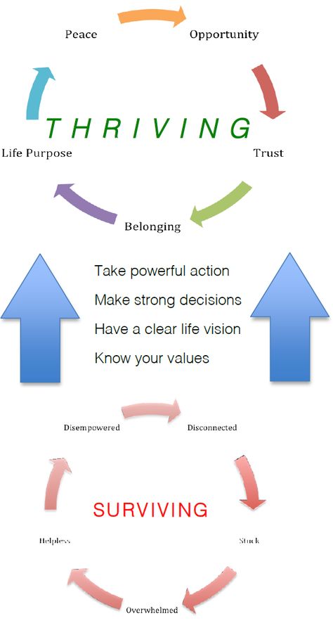 Coaching Model: From Surviving to Thriving Surviving To Thriving, Group Coaching Ideas, Life Coaching Business, Coaching Skills, Life Coaching Tools, Team Training, Executive Coaching, Online Coaching Business, Coaching Tools