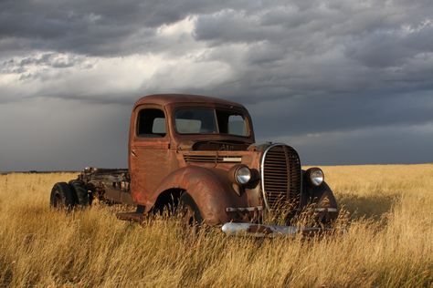 Old Truck Photography, Barn Finds Classic Cars, Ford Truck Models, Truck Photography, Truck Accessories Ford, Diesel Trucks Ford, Fall Wallpaper Aesthetic, Rat Rod Trucks, Ford Suv