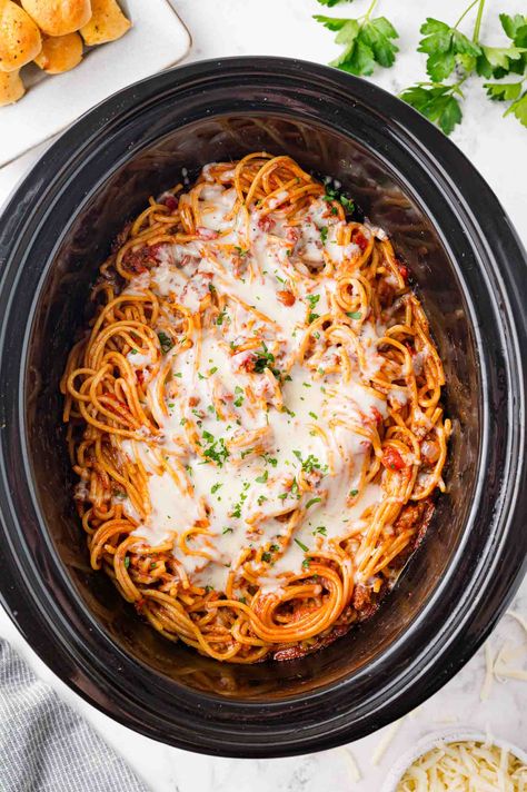 Crockpot spaghetti is hearty and filling, with a meaty tomato sauce, plenty of cheese, and fresh herbs for that perfect finishing touch. Who knew you could make a spaghetti dinner in a slow cooker? Slow Cooker Spaghetti Bolognese, Crockpot Million Dollar Spaghetti, Crock Pot Spaghetti Recipes, Crockpot Spaghetti Recipes, Pasta In Slow Cooker, Spaghetti In Crockpot, Crockpot Baked Spaghetti, Spaghetti Crockpot, Crockpot Entrees