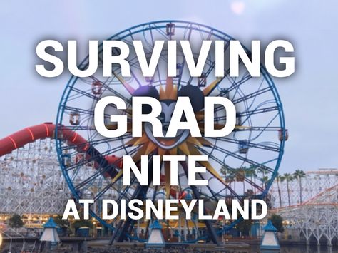 Disneyland Gradnite, Grad Night Disneyland, Disneyland Crowd Calendar, Disneyland 2023, Disneyland Trip Planning, Disneyland Planning, Disney Blog, Disneyland Tips, Disneyland Vacation