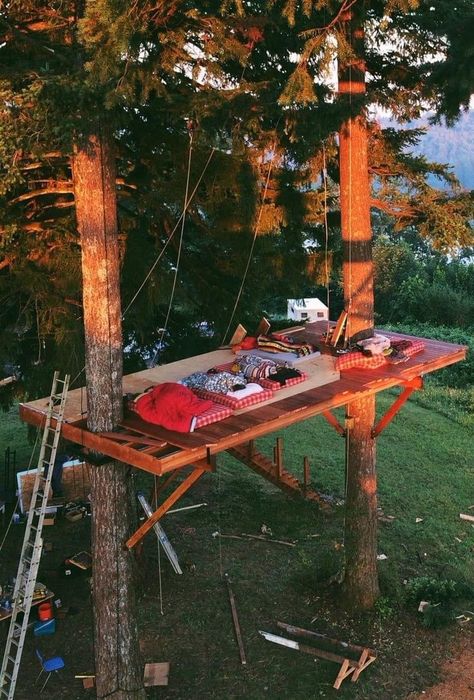 Huge Backyard, Tree Camping, Tree Tent, Tree House Plans, Tree Fort, Tree House Diy, Cool Tree Houses, Tree House Designs, Tree Houses