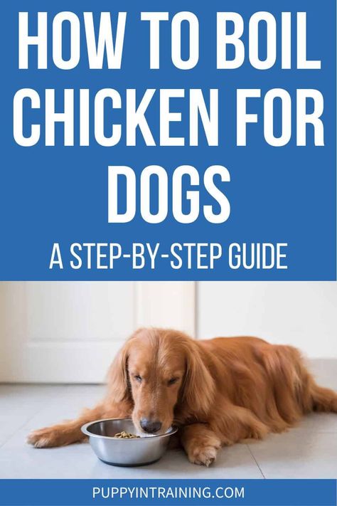 Cooking Chicken For Dogs, Boiled Chicken For Dogs, How To Boil Chicken For Dogs, Chicken Dog Food, Chicken Recipes For Dogs, Dog Chicken Recipes, Homemade Dog Food Chicken, Boiled Chicken And Rice For Dogs, Chicken Broth For Dogs