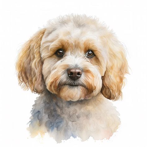 Dog Sketches, Dog Digital Art, Watercolor Dogs, Maltipoo Dog, Dog Illustrations, Painting References, Digital Painting Portrait, Maltipoo Puppy, Portrait Watercolor