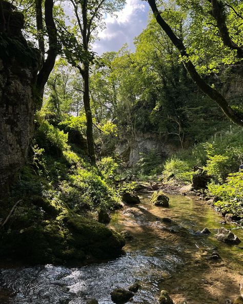 Janet Core, Cottage Interior, Yorkshire Dales, 2024 Vision, Travel Aesthetic, Nature Pictures, Cottage Core, Mother Nature, Yorkshire