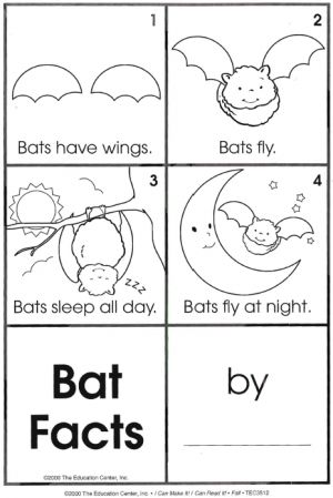 Bat Facts Activities Science Halloween, Bats Unit, Bats Activities, Bat Facts, October School, October Ideas, Fall Kindergarten, Halloween Preschool, Fall Preschool