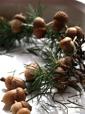 The Magic Onions :: A Waldorf Inspired Blog: Let's make an Acorn Garland for the Christmas Tree. Acorn Garland, Navidad Natural, Acorn Crafts, Diy Christmas Garland, Navidad Diy, Natural Christmas, Handmade Christmas Decorations, Fall Decor Diy, Noel Christmas