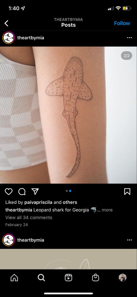 Leopard Shark Tattoos, Zebra Shark Tattoo, Leopard Shark Tattoo, Nurse Shark Tattoo, Lovely Tattoo, Zebra Shark, Surf Tattoo, Leopard Shark, Nurse Shark