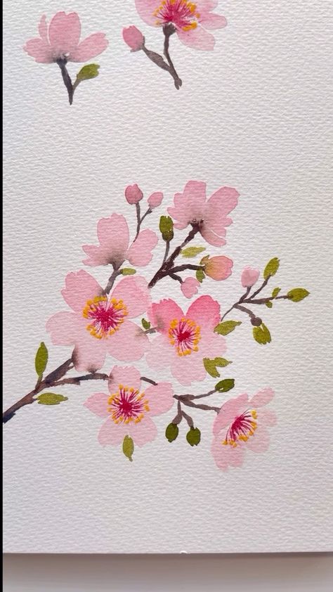 Pooja Kenjale Umrani | Sharing process video of cherry blossoms that I painted last Friday! I hope you enjoy watching it. Happy Monday. . Comment 🌸 if you would … | Instagram Korean Painting Ideas, Easy Cherry Blossom Drawing, Cherry Blossom Illustration, Cherry Blossom Drawing, Painting Steps, Cherry Blooms, Valentines Watercolor, Paintings Easy, Cherry Blossom Painting