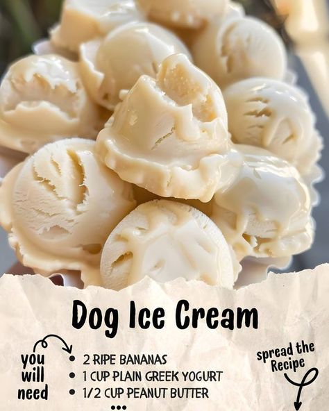 Hungry Recipes Dog Ice Cream Recipe, Foods Dogs Can Eat, Pet Treats Recipes, Easy Dog Treat Recipes, Dog Treats Homemade Easy, Dog Biscuit Recipes, Dog Ice Cream, Easy Dog Treats, Healthy Dog Treats Homemade