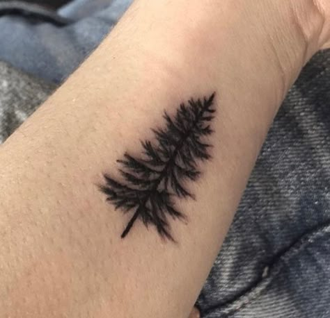 Pine Tattoo Design, Pine Tree Tattoo On Back, Scots Pine Tattoo, Norway Spruce Tattoo, Simple Pine Tree Tattoo, Pines Tattoo, Pine Tree Tattoo Men, Two Pine Trees Tattoo, Pine Tree Tattoo Designs