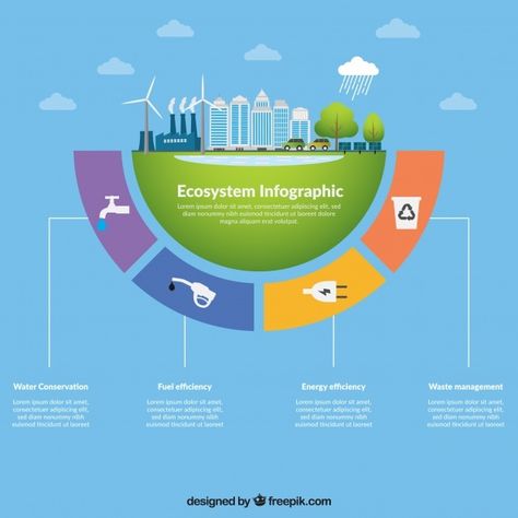 Ecosystem infographic concept | Free Vector #Freepik #freevector #infographic #templates #green #nature Ecosystem Infographic, Ecosystem Design, Digital Ecosystem, Bubble Diagram, Strategic Roadmap, Infographic Layout, Green Industry, Chart Infographic, Research Poster