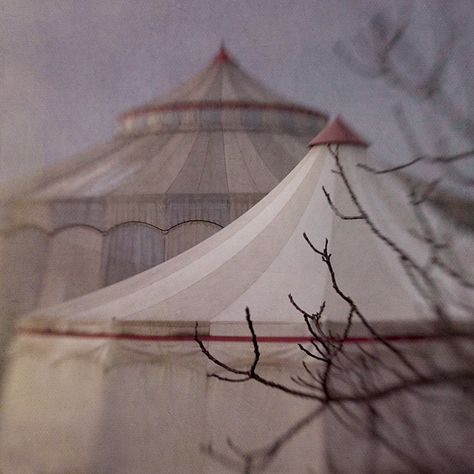 circus Circus Aesthetic, Circus Sideshow, Dark Circus, Creative Juice, Night Circus, Mood Images, Dreamy Photography, Circus Tent, Pantomime