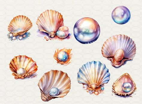 Watercolor Pearl, Shell Clipart, Pearl Clam, Seashell Illustration, Seashells Photography, Shell Drawing, Very Beautiful Images, Illustrator Inspiration, Watercolor Postcard