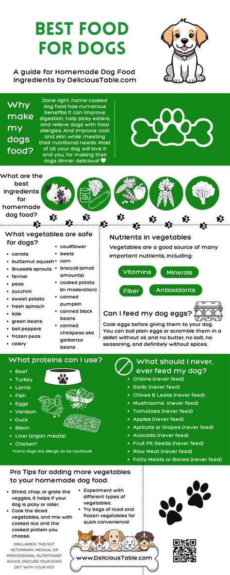 Healthiest Dog Food, Freeze Dog Food, Dog Friendly Food Chart, Slow Feeder Dog Recipes, Real Dog Food Recipes, Dog Losing Weight Tips, Homemade Dog Food For Older Dogs, Dog Meal Recipes, Dog Meal Plan