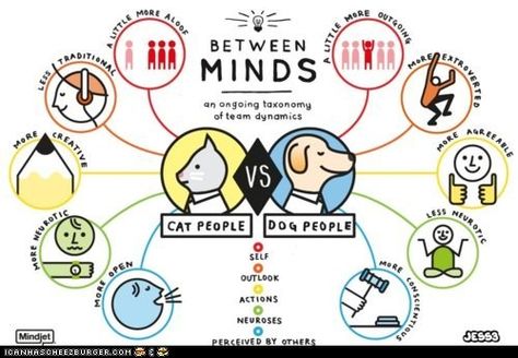 TRUE STORY- Cat Owners' Minds vs. Dog Owners' Minds Cat Person Vs Dog Person, Crate Training Dog, Dog Infographic, Dog Training Equipment, Cat Vs Dog, Dog Info, Dog People, Dog Training Collar, Cat People