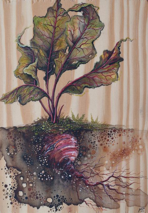 I Make Fantastical Nature Inspired Illustrations Roots Illustration, Roots Drawing, Wood Watercolor, Paintings On Wood, Painting Garden, Wood Burn Designs, Watercolor On Wood, Wood Painting Art, Botanical Tattoo