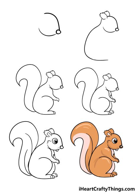 Draw A Squirrel, Squirrel Drawing, Squirrel Art, Easy Art For Kids, Easy Drawings For Beginners, Easy Drawings For Kids, Cute Squirrel, A Squirrel, Sketches Tutorial