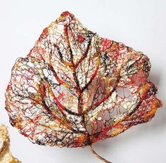 Lisa Kokin, Dissolvable Fabric, Water Soluble Fabric, A Level Textiles, Growth And Decay, Lost River, Creative Textiles, Free Motion Embroidery, Textile Fiber Art