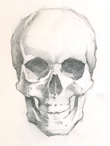 Sketch Of Skull, Sculls Art Drawing, Scull Drawing Reference, Skull Front View Drawing, Skeleton Head Sketch, Skull Art Reference, Skull Drawing Reference, Skulls Sketch, Jeff Haines