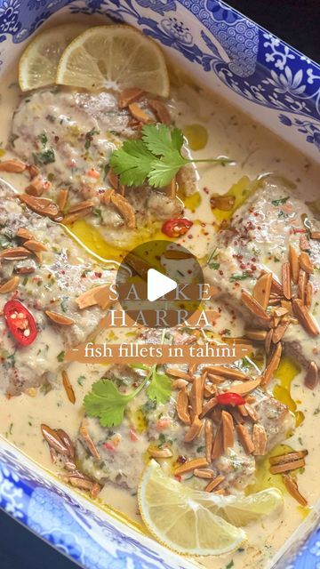 Taghrid Ahmad on Instagram: "Samke Harra Part 2: Fish Fillet variation 😋 this was the first style of Samke Harra I ever made before I was game enough to touch a whole fish! It’s bursting full of flavour with every bite, I always make this variation when I make Soffrat Samak (fish spread) so I don’t have to worry about fish bones with the younger boys. Recipe below 👇 Samke Harra (fish fillets) 1kg firm white fish fillets of choice - Snapper, Hoki & Perch are great options 1 teaspoon salt 1 teaspoon cumin 1 teaspoon ground coriander 1 teaspoon black pepper Season your fish fillets with the above spices on both sides. Briefly seal them in a few tablespoons of olive oil on both sides. Don’t fully cook as this will go into the oven. Set aside in your oven dish. Citrus Tahini Sauce: 1 Samke Harra, Silver Fish Recipe, Lemon Juice Water, Ghee Butter, Whole Fish, Fish Bones, Fish Fillets, Chilli Paste, White Fish