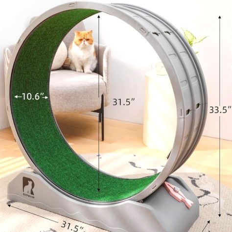 Small Dog and Cat Exercise Wheel Cat Treadmill, Cat Exercise Wheel, Cat Exercise, Exercise Wheel, Astro Turf, Large Cats, Dog And Cat, Bad Weather, Small Dog