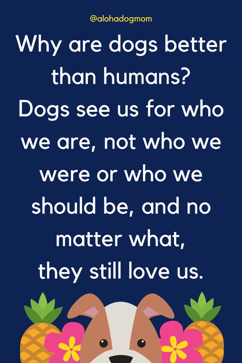 Can't argue with the fact that dogs are better than most humans. Why Dogs Are Better Than People, Dogs Are Better Than People Quotes, Dogs Are Better Than People, Dogs Quotes, If You Love Someone, People Quotes, Dog Quotes, A New Day, The Dog