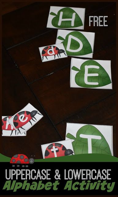 FREE Ladybug Alphabet Letters Activity - this uppercase alphabet and lowercase alphabet matching activity is great for preschool, kindergarten, and first grade kids to practice #alphabet #alphabetactivity #alphabetgames #freeprintable #freeliteracygames #kindergartenworksheetsandgames Bug Language Activities Preschool, Ladybug Activities For Preschool, Honeycomb Craft, Ladybug Alphabet, Ladybugs Preschool, Preschool Bugs, Letters Activity, Insect Study, Doubles Addition