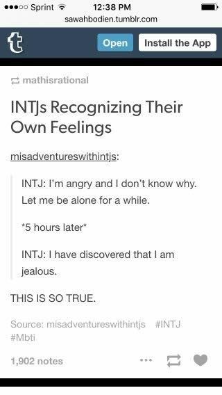 Do INTJs get jealous or possessive? In a nutshell…not really. Find out why! Geomeun Goyangi =^-^= Gifts For Intj, Intj Emotions, Intj Men, Intj Man, Intj Female, Intj Humor, Intj Women, I Am A Unicorn, Intj T