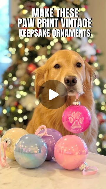 Sunday | Not Your Typical  Golden Retriever | I love how these paw print vintage inspired ornaments turned out! They were quick and easy to do and would make a fun keepsake that you... | Instagram Dog Paw Ornaments Diy, Dog Paw Print Christmas Crafts, Paw Print Ornament Diy, Dog Print Ornament, Dog Ornaments Diy, Dog Paw Print Craft, Paw Print Crafts, Paw Ornament, Paw Print Ornament