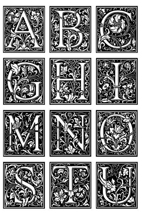 Medieval Letters Aesthetic, Midevil Lettering Fonts, Monogram Fonts Initials, Illuminated Letters Alphabet, Initial Illustration, Ornamental Letters, Ornamental Lettering, Decorative Initials, Pretty Lettering