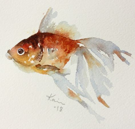 Practice Painting, Watercolor Paintings Of Animals, Arches Watercolor Paper, Watercolor Fish, Diy Watercolor Painting, Watercolor Paintings Easy, 수채화 그림, Watercolor Paintings Tutorials, Watercolor Art Lessons