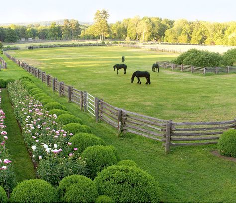 i'd like to be one of Martha's horses living in this meadow. Dream Stables, Dream Horse Barns, Future Farms, Free Horses, Dream Barn, Horse Ranch, Horse Stables, Horse Barns, Horse Barn