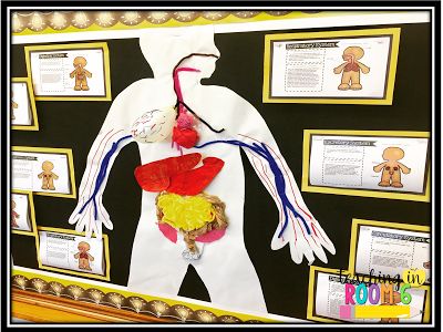 Really cool bulletin board!  Love the group project and that Google Slide project too! Best Science Experiments, Human Body Systems Projects, Cool Bulletin Boards, Preschool Displays, Body Systems Project, Human Body Projects, Body Preschool, Experiments Kids, Systems Art