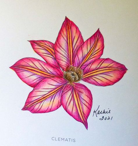 A single Clematis from the coloring book Flowerscape by Maggie Enterrios Flowerscape Coloring, Prismacolor Flowers, Maggie Enterrios, Pencil Flowers, Lost Ocean Coloring Book, Colored Pencil Art Projects, Watercolor Lessons, Color Pencils, Colored Flowers