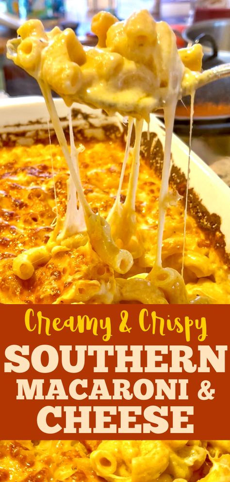 Mind-Blowing Southern Baked Macaroni and Cheese - Slice of Jess Toni’s Creamy Mac And Cheese, Best Cheesy Mac And Cheese, Southern Max And Cheese, Crunchy Baked Mac And Cheese Recipe, Back Mac And Cheese Recipe, Make And Cheese Recipe, Best Southern Baked Mac And Cheese, Southern Mac Cheese Recipes, Stouffers Macaroni And Cheese