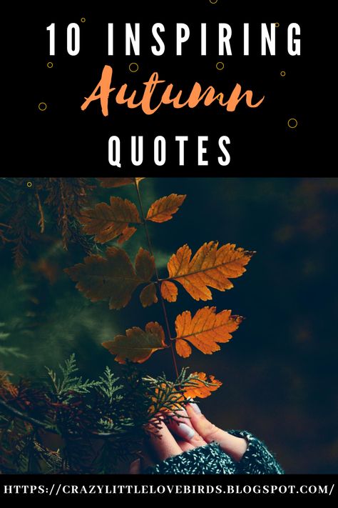 It Feels Like Fall Quotes, Quotes On Autumn Season, Fall Life Quotes, Fall Reflection Quotes, Fall Yoga Quotes, Autumn Yoga Quotes, Autumn Blessings Quotes, Fall Spiritual Quotes, Fall Beauty Quotes