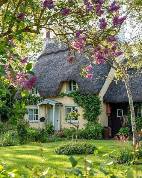 Wellness Sanctuary, Cottages England, Magical Cottage, English Country Cottages, Cute Cottages, Ancient Healing, Medicinal Garden, Pretty Cottage, Cottage Aesthetic