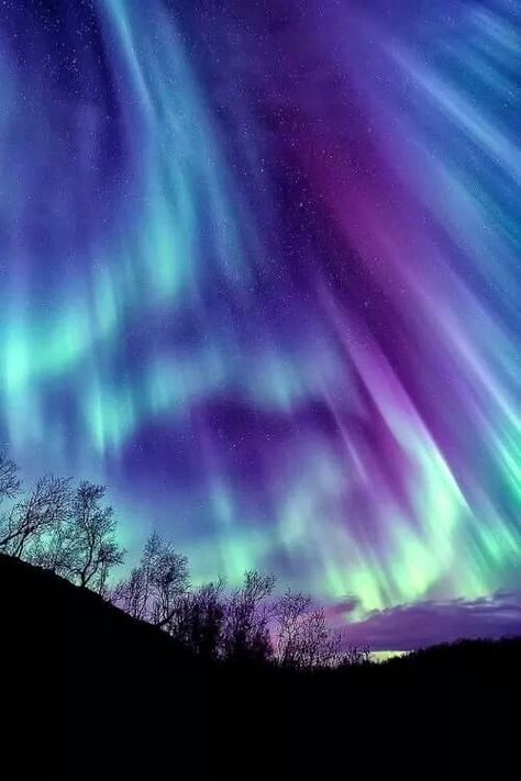 Auroras So very beautiful Southern Lights, Northern Lights (aurora Borealis), Aurora Borealis Northern Lights, Natural Phenomena, Beautiful Sky, Science And Nature, Aurora Borealis, Amazing Nature, Jellyfish