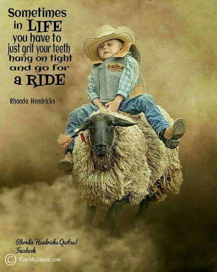 Sometimes, you just have to grit your teeth, hang on tight, and go for a RIDE!  image by: Ron McGinnis Rhonda Hendricks Quotes/ Facebook Bull Riding Quotes, Southern Girl Quotes, Rider Quotes, Gods Grace Quotes, Cowboy Quotes, Fb Quote, Cowgirl Quotes, Riding Quotes, Bull Rider