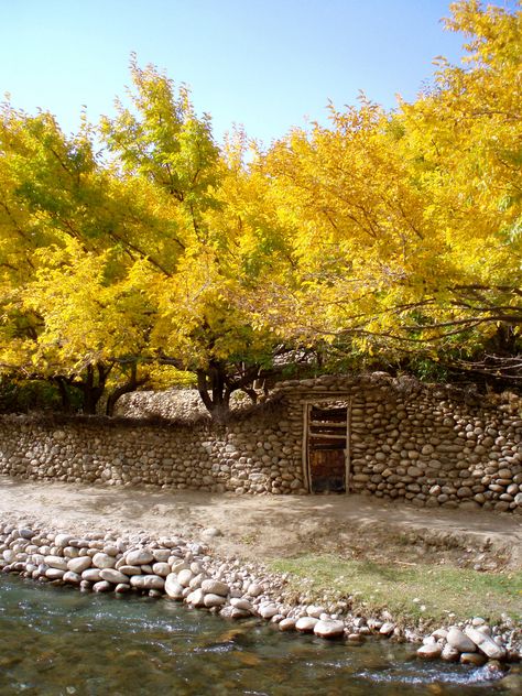 Afghan autumn, Panjshir Valley, Afghanistan  Afghan Images Social Net Work:  سی افغانستان: شبکه اجتماعی تصویر افغانستان http://seeafghanistan.com Panjshir Afghanistan, Afghanistan Photography, Afghanistan Culture, Landlocked Country, Travel Packages, South Asia, Central Asia, North Africa, Hidden Gems