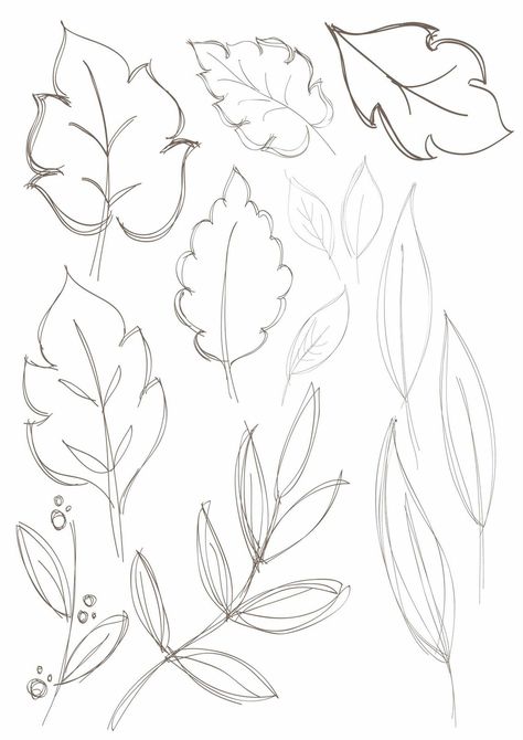 Leaf Drawing Easy, Leaves Sketch, Leaves Doodle, Plant Sketches, Drawing Floral, Leaf Drawing, Floral Drawing, Easy Doodle Art, Plant Drawing