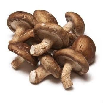 Green Nutrition, Bio Products, Medical Items, Mushroom Spores, Maitake Mushroom, Health Clinic, Shiitake Mushrooms, Power Foods, Food Info