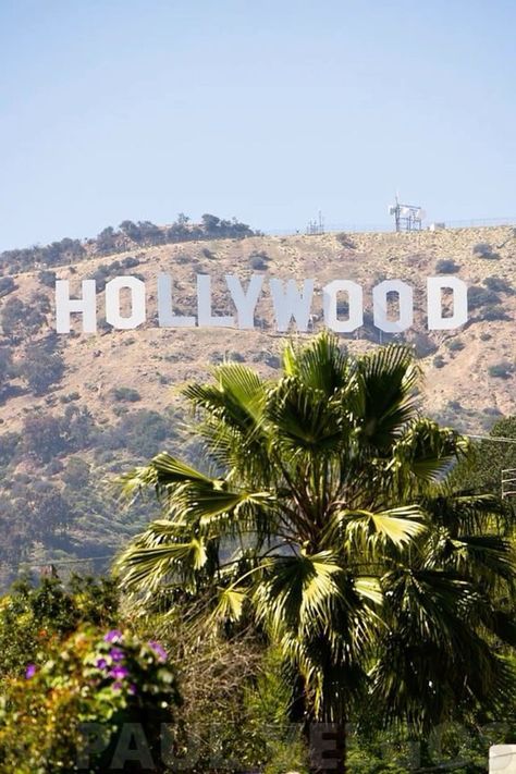 Los Angeles Wallpaper, Los Angeles Aesthetic, Holly House, Santa Monica Mountains, Nevada Mountains, Los Angles, Hollywood Sign, City Of Angels, Hollywood Hills