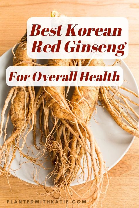 Best Korean Red Ginseng Ginseng Benefits Women, Red Panax Ginseng Benefits, Benefits Of Ginseng For Women, Korean Red Ginseng Benefits, Korean Ginseng Benefits, Ginseng Tea Benefits, Red Ginseng Benefits, Royal Jelly Benefits, Ginseng Drink