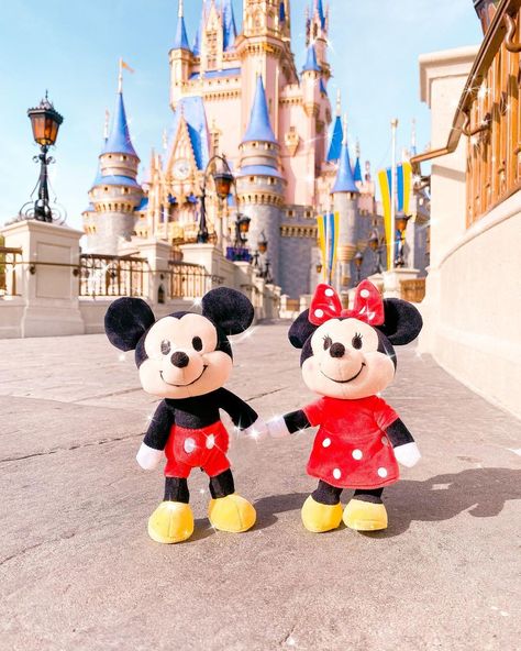 Disney Influencer, Nuimos Disney, Disneyworld Aesthetic, Disney Nuimos, Minnie Mouse Doll, Mickey Mouse Toys, Disney Tokyo, Disney Stuffed Animals, Disney Queens