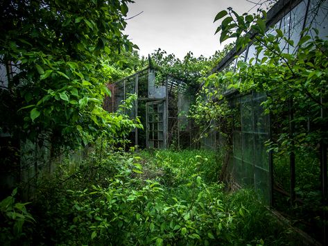 Photographer Johnny Joo explores abandoned structures overtaken by the natural surroundings that had originally been tamed to make space for them. Joo captures ferris wheels, cottages, malls, schools, armories, and thruways as they slip back into obscurity, covered in undergrowth, vines, and trees. Overgrown Buildings, Post Apocalyptic Aesthetic, Overgrown Plants On Buildings, Overgrown Building Aesthetic, Abandoned Aesthetic, Green Overgrown Aesthetic, Apocalyptic Aesthetic, Overgrown Factory, Reclaimed By Nature