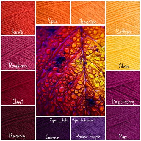 Fall Color Palette With Names, Color Pallets Orange, Colours That Go With Orange, Stylecraft Colour Combinations, Color Palette 10 Colors, Yarn Color Palette, Paint Color Combos, Red Color Palette, Red Color Combinations